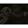 Xbox Gothic 2 Complete Classic - 1524248 - zdjęcie 4